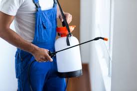 Best Residential Pest Control  in Nogales, AZ